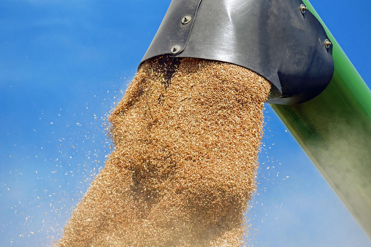 The Wheat and the Chaff