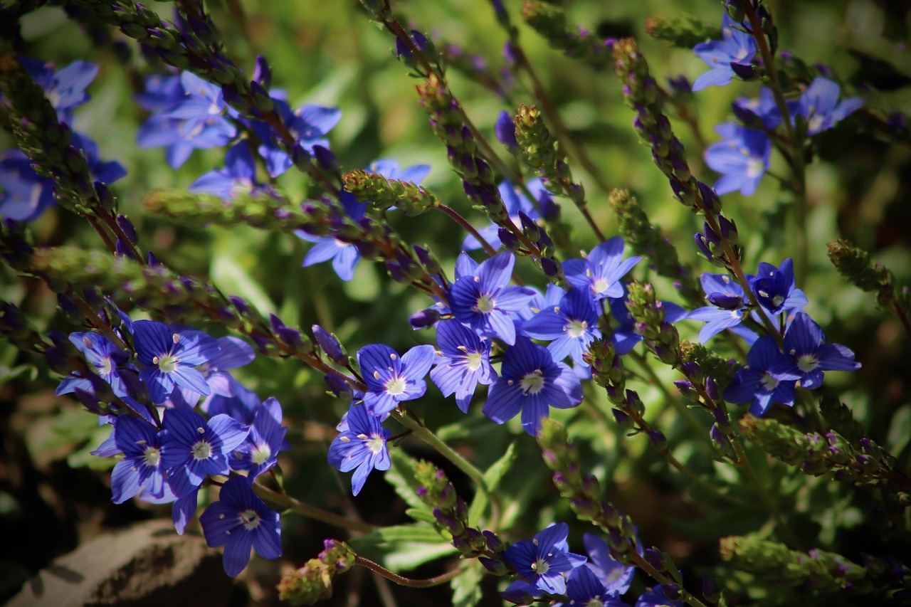 Let God Be Your Glory