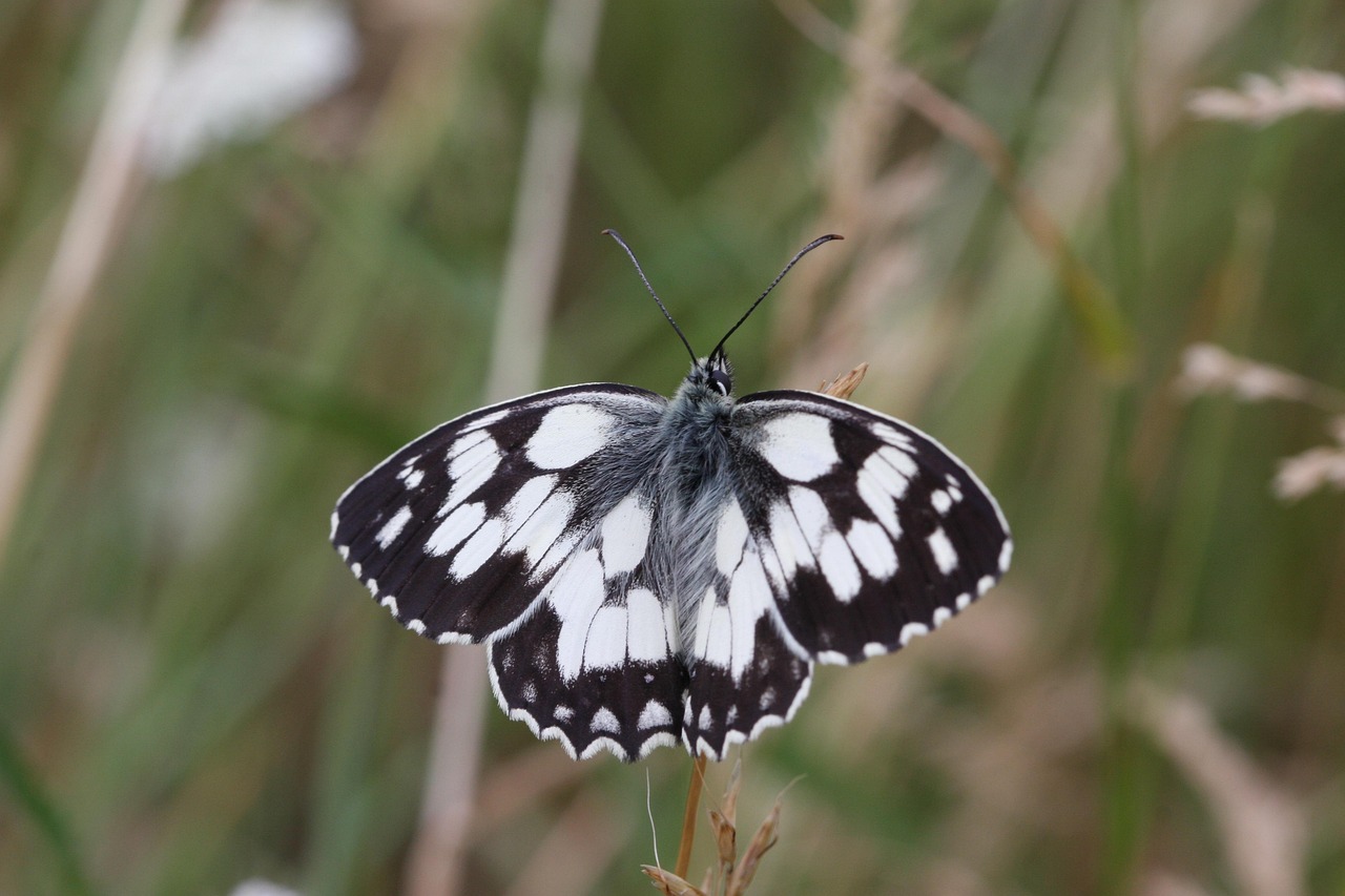 God's Work, Not Ours